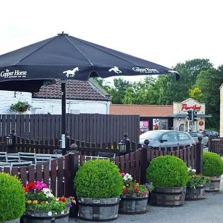 Piglet بيت للعطل *