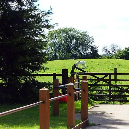 بيت للعطل Piglet Seamer